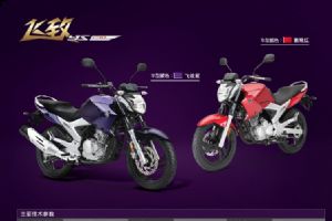  YAMAHA ����YS250 �¿��콣�� ������Խֳ���